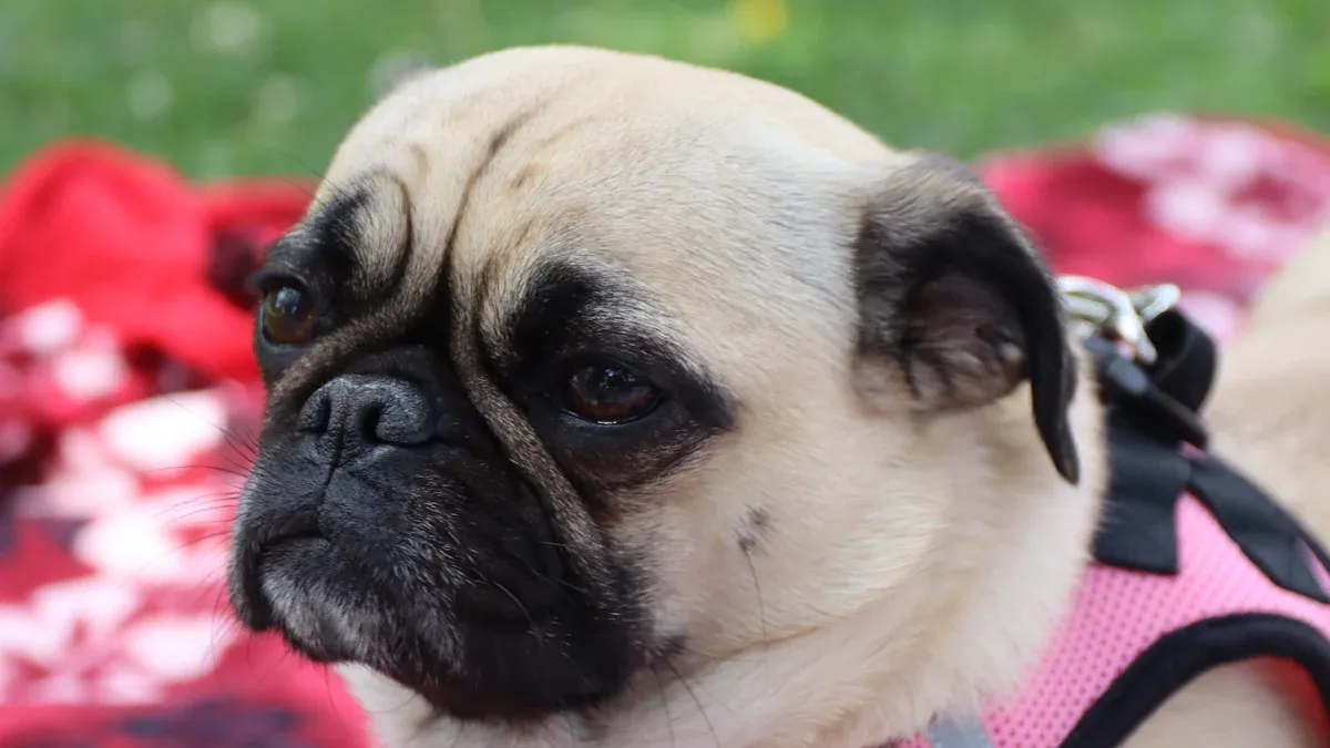 Pressure Hotspots to Watch For