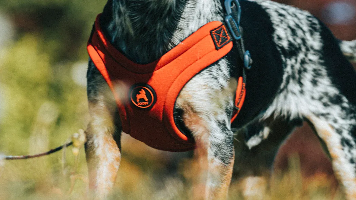 Dog harness vest inspection for wear and fit problems
