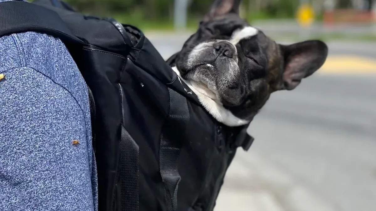 Support and Posture Inside the Dog Backpack