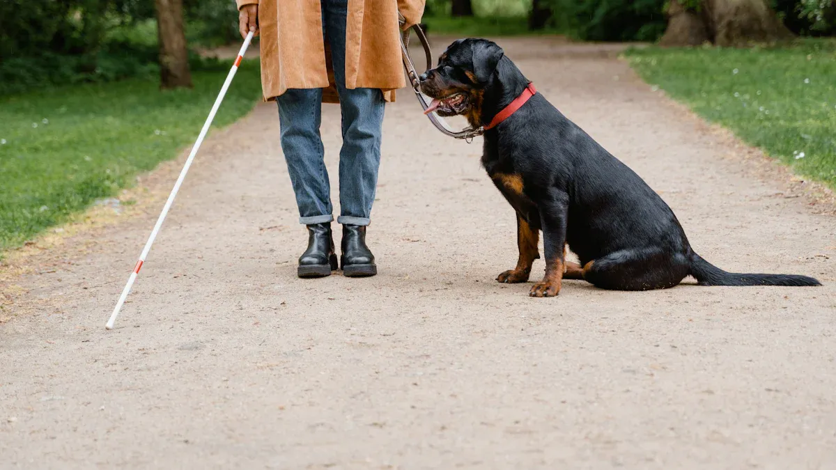 Fit checks for safety and comfort