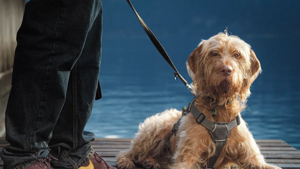 Fit Points for Movement and Control