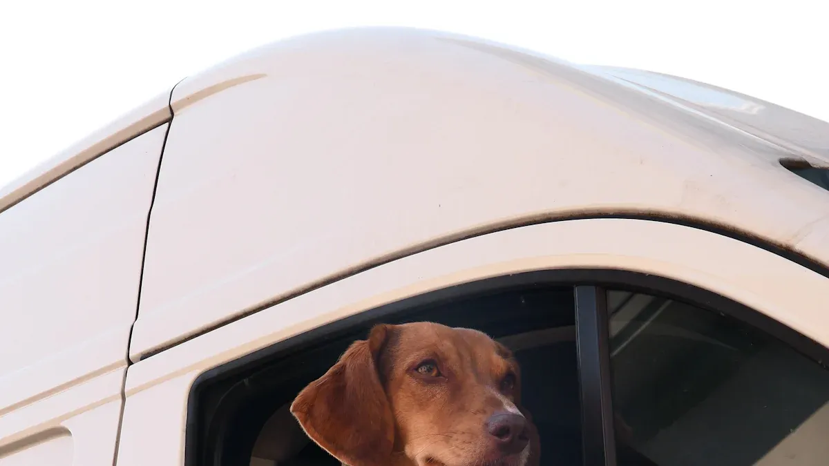 Installing Dog Car Seats and Harnesses