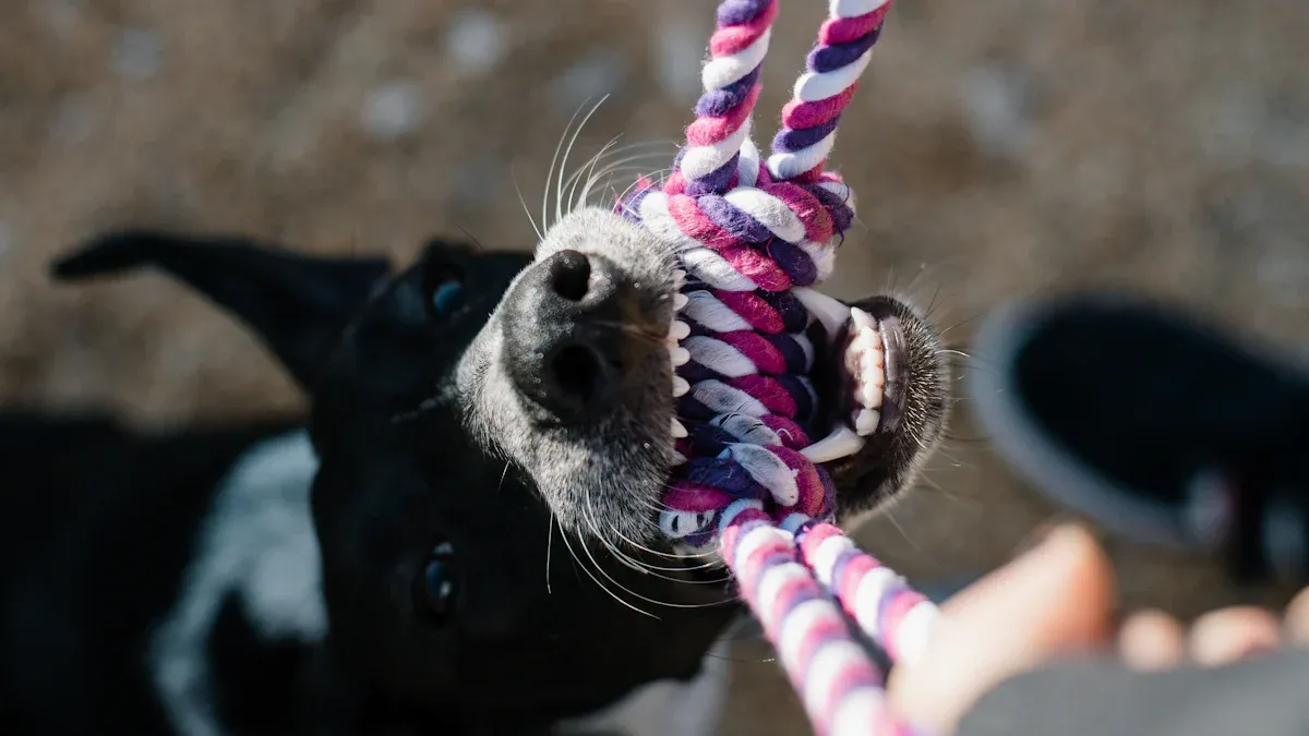 Types of tug of war dog toys