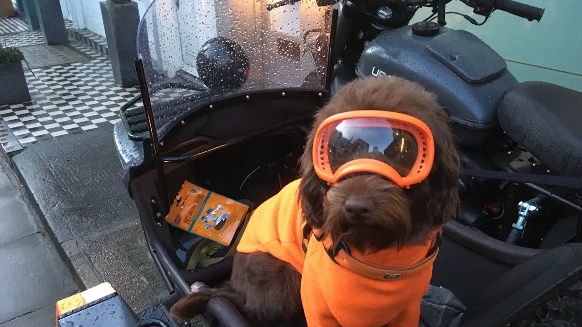 Fit and Safety Basics to Safely Carry Your Dog