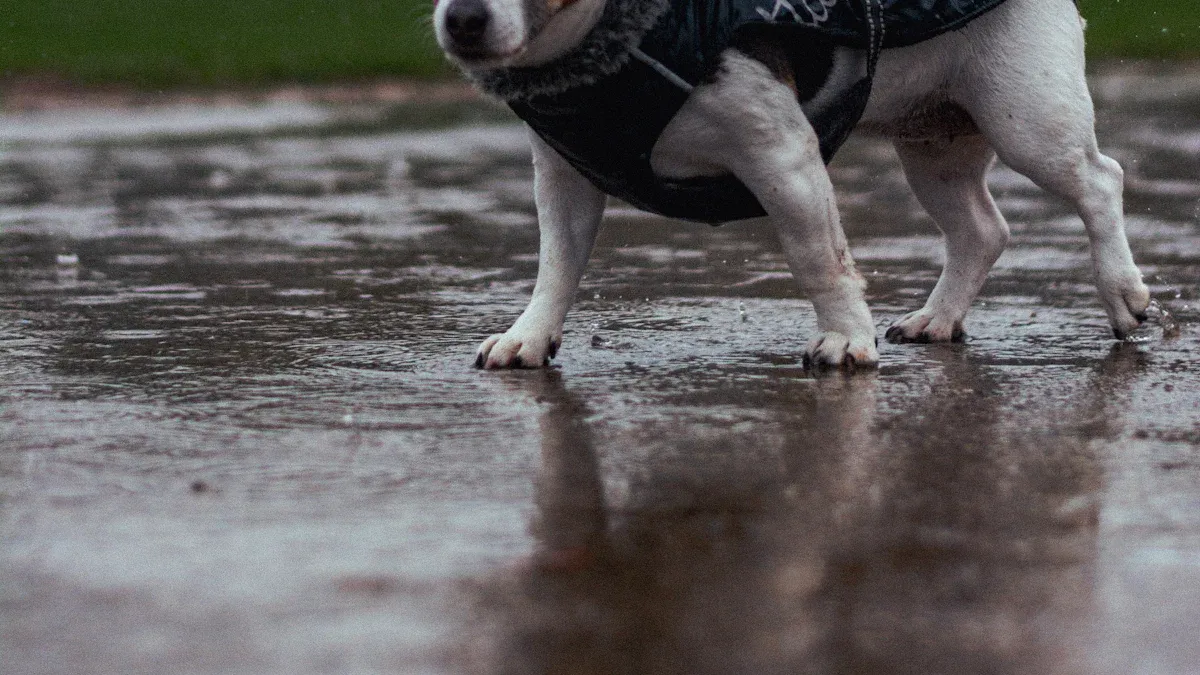 Waterproof Collar Materials and Weatherproof Durability