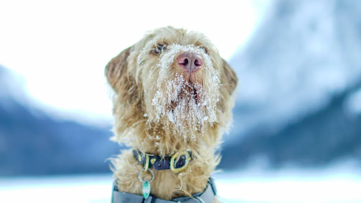 Preventing chafing with harness care