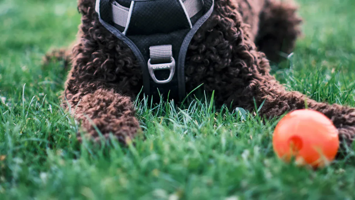 Fit checks for right size and comfort