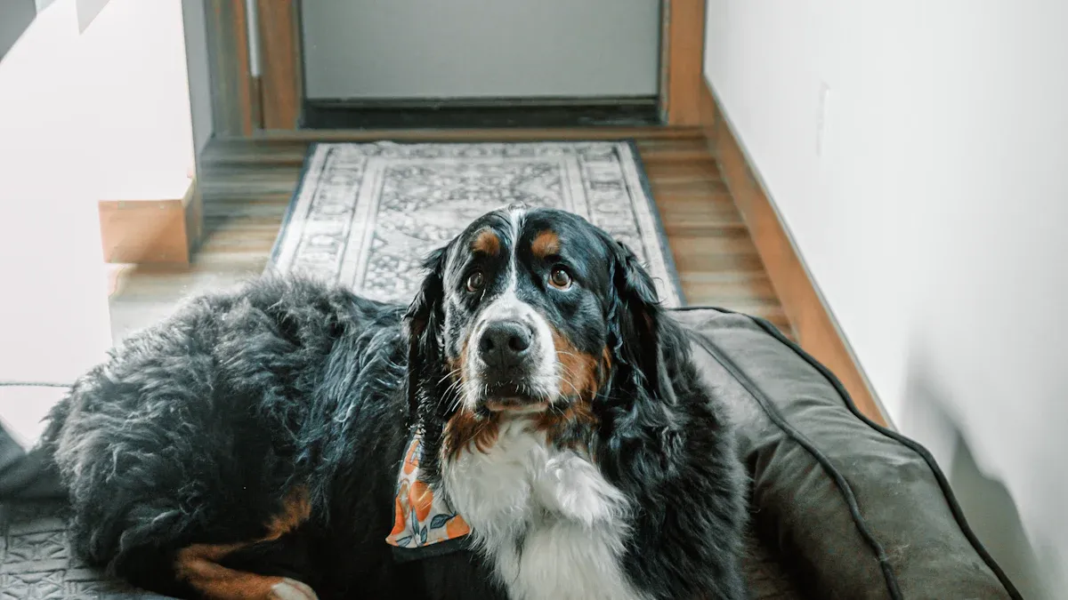 Types of Bolster Dog Beds