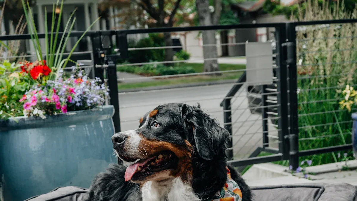 Large dog resting on a durable bed outdoors
