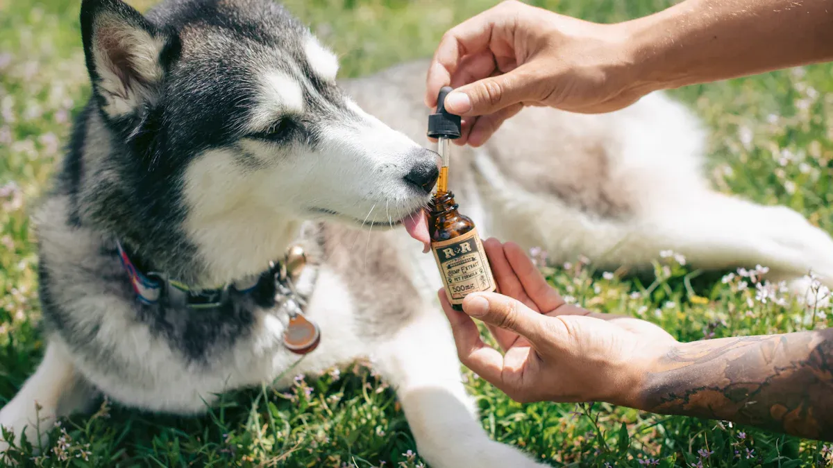 Sizing Steps: Measure Your Dog’s Neck First