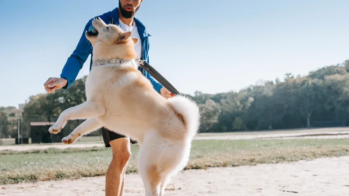Hands-free dog leash setup: prevent bounce and tangles