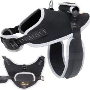 Black reflective dog harness with white trim, reinforced stitching, padded back handle, and top D-ring, shown from side and front on a white background