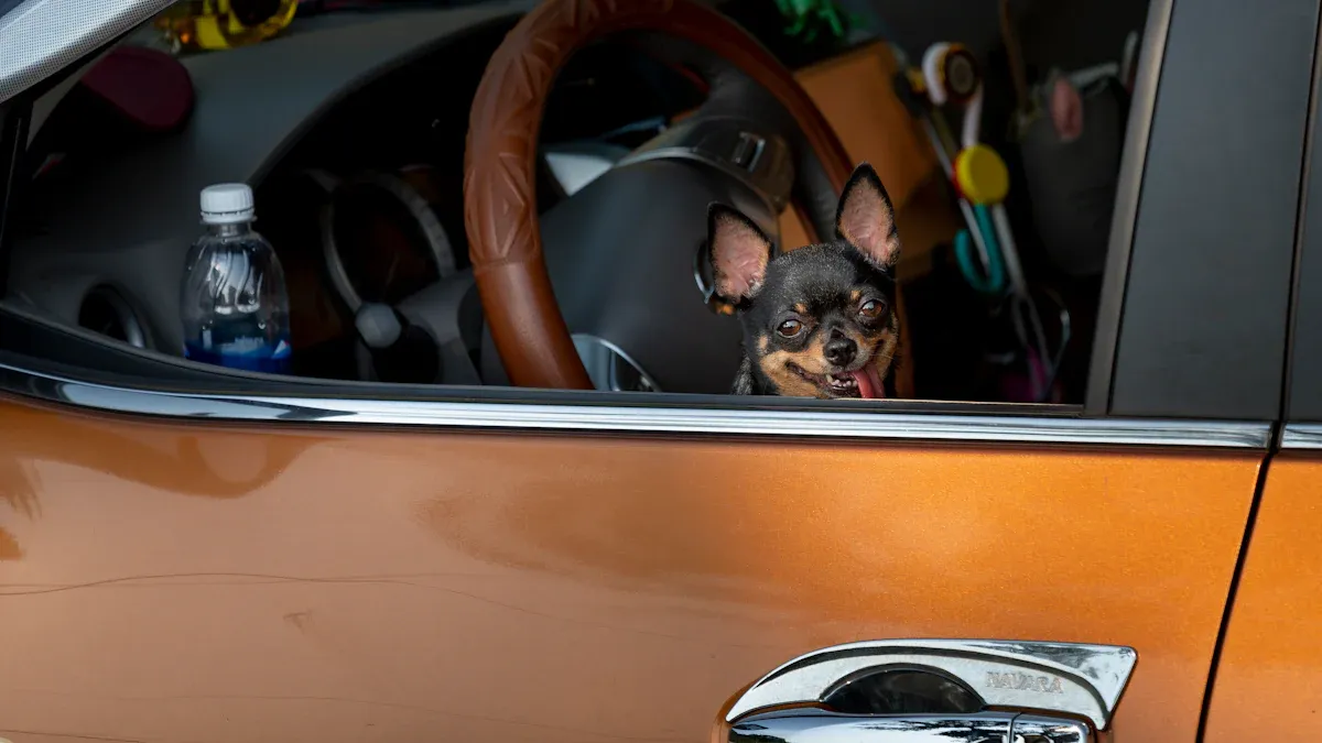 Setting car tether length for keeping your dog safe