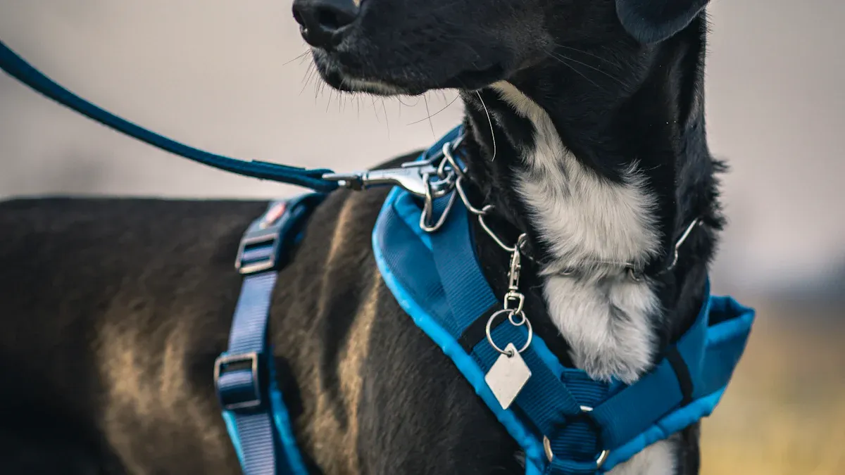 Dog Harnesses on Trails How to Stop Slip Outs With a 60 Second Fit Check
