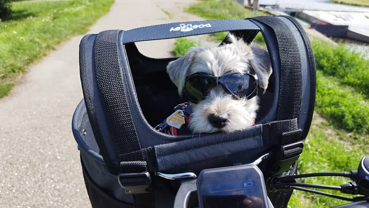 Backpack Carrier Posture and Ventilation