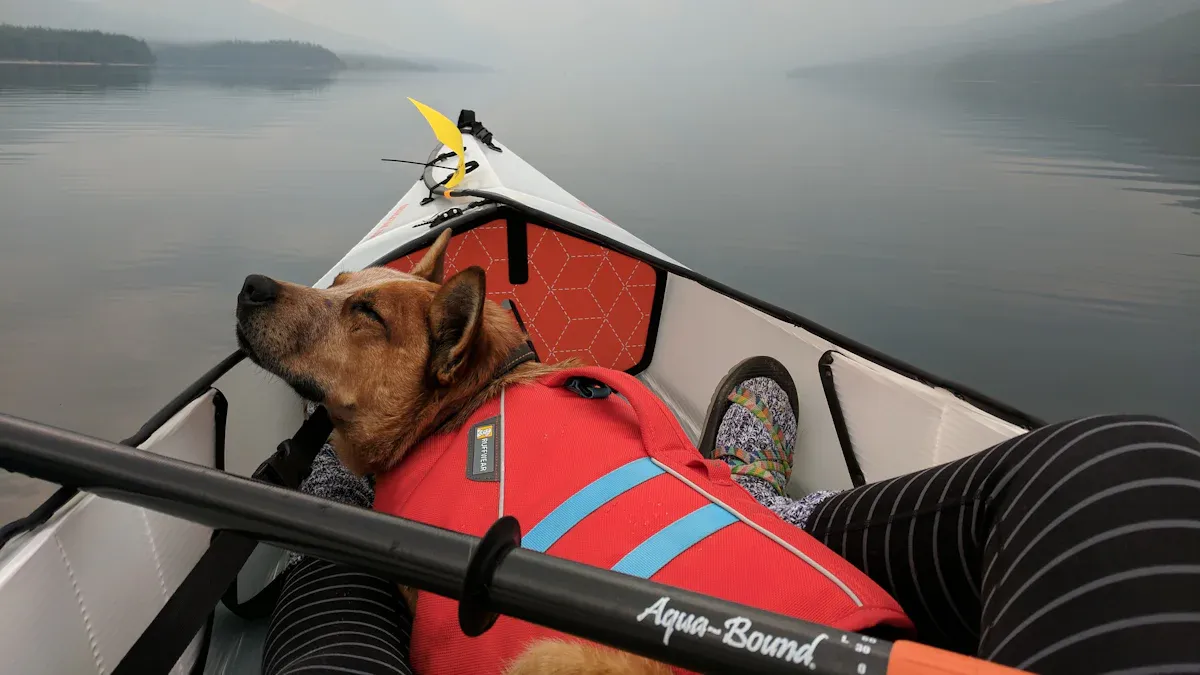 Wet Test: Confirming Dog Life Jacket Stability