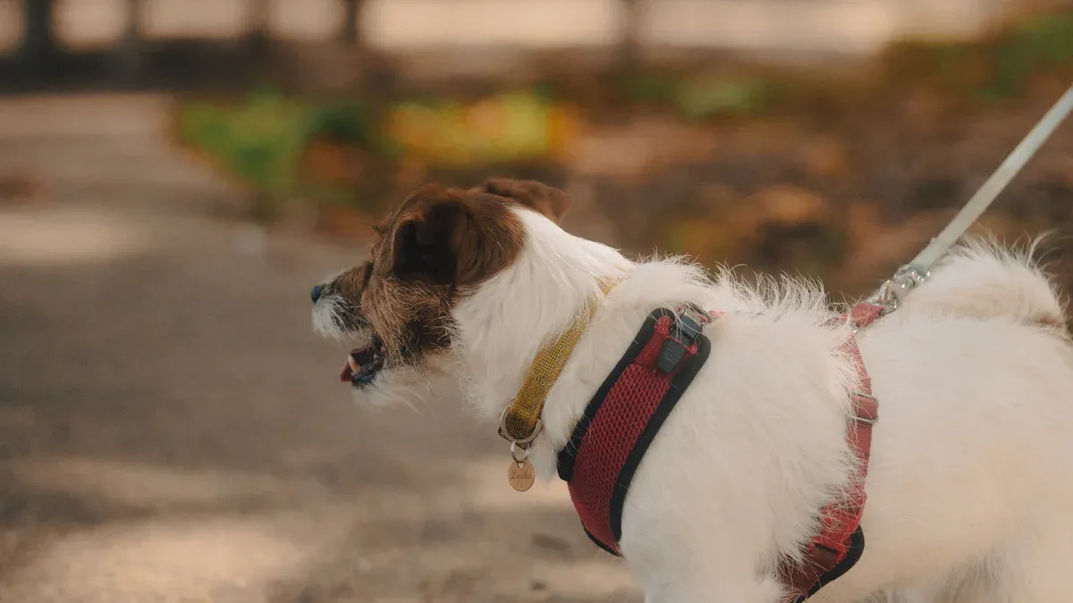 Troubleshooting: resistance when you put on a dog harness