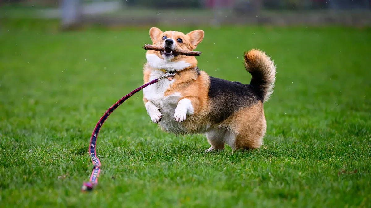 Preventing Falls and Tangles