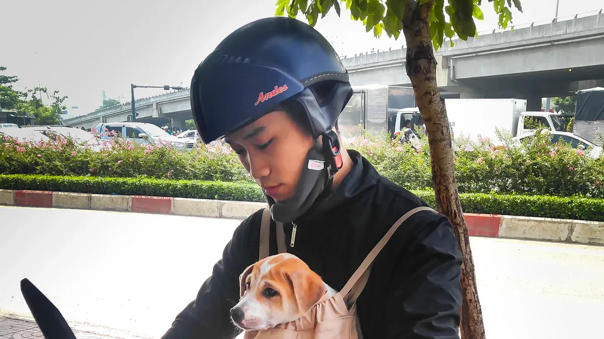 Pet Carrier Pre-Buy and Setup Checklist