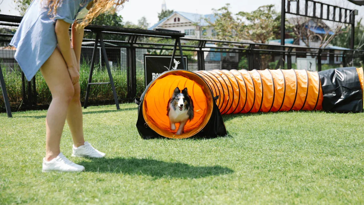 Key safety specs for dog agility tunnel