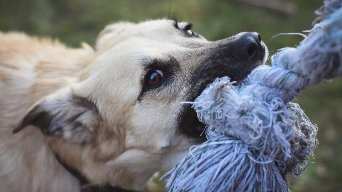 Choosing durable dog tug toys for safety