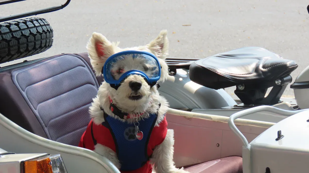 Safety and Restraint Setup