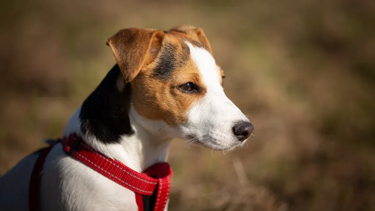 Fit Points to Prevent Rubbing and Slipping