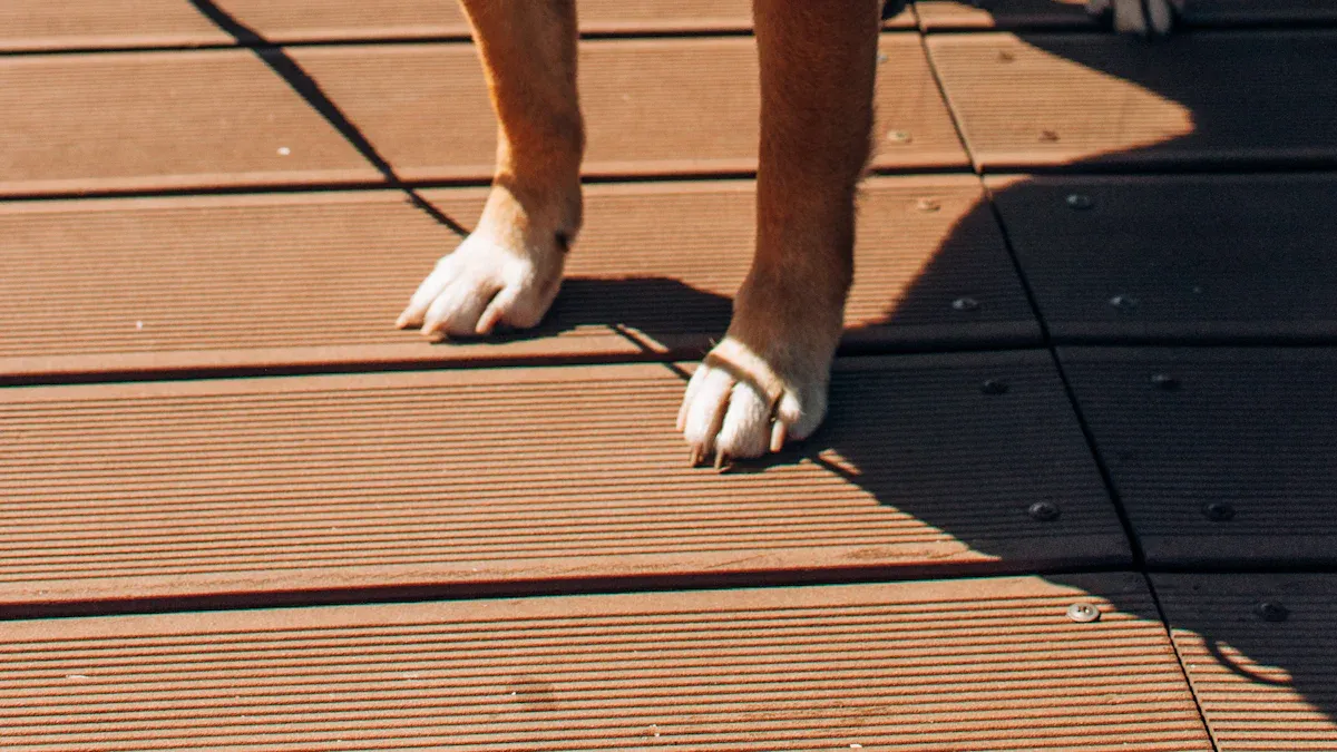 Sizing and Fit for Reflective Dog Collars