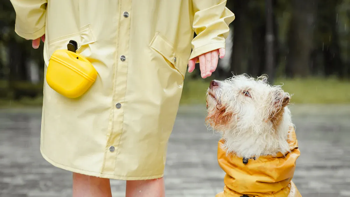 Rainy Walk Leash Care Checklist