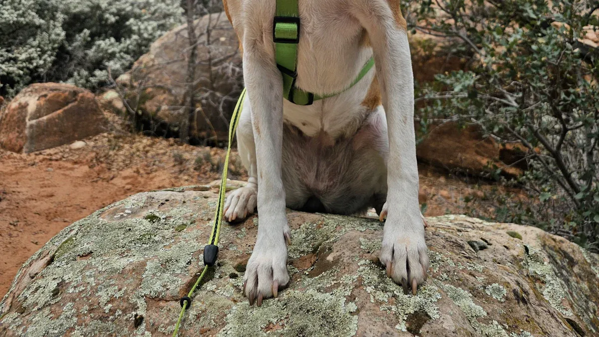 No-Pull Dog Harness Failures and Causes