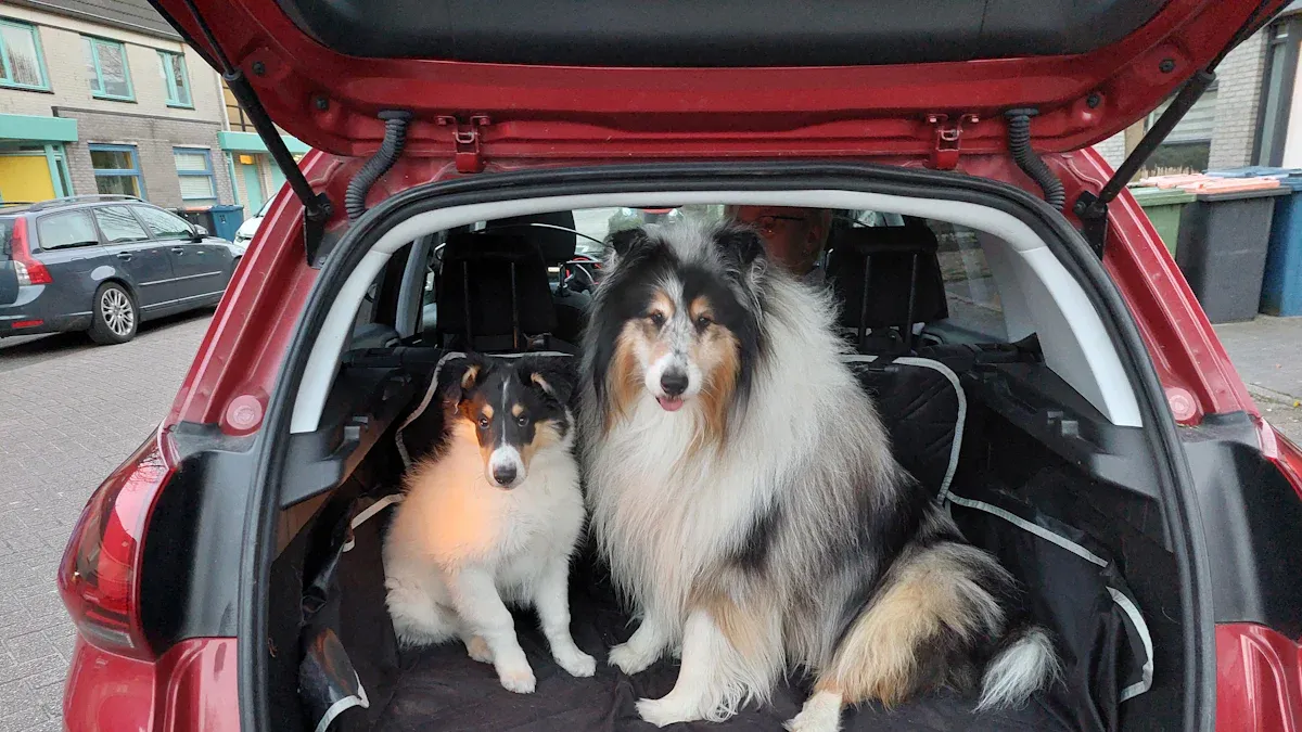 Types of Large Dog Car Seats for Travel