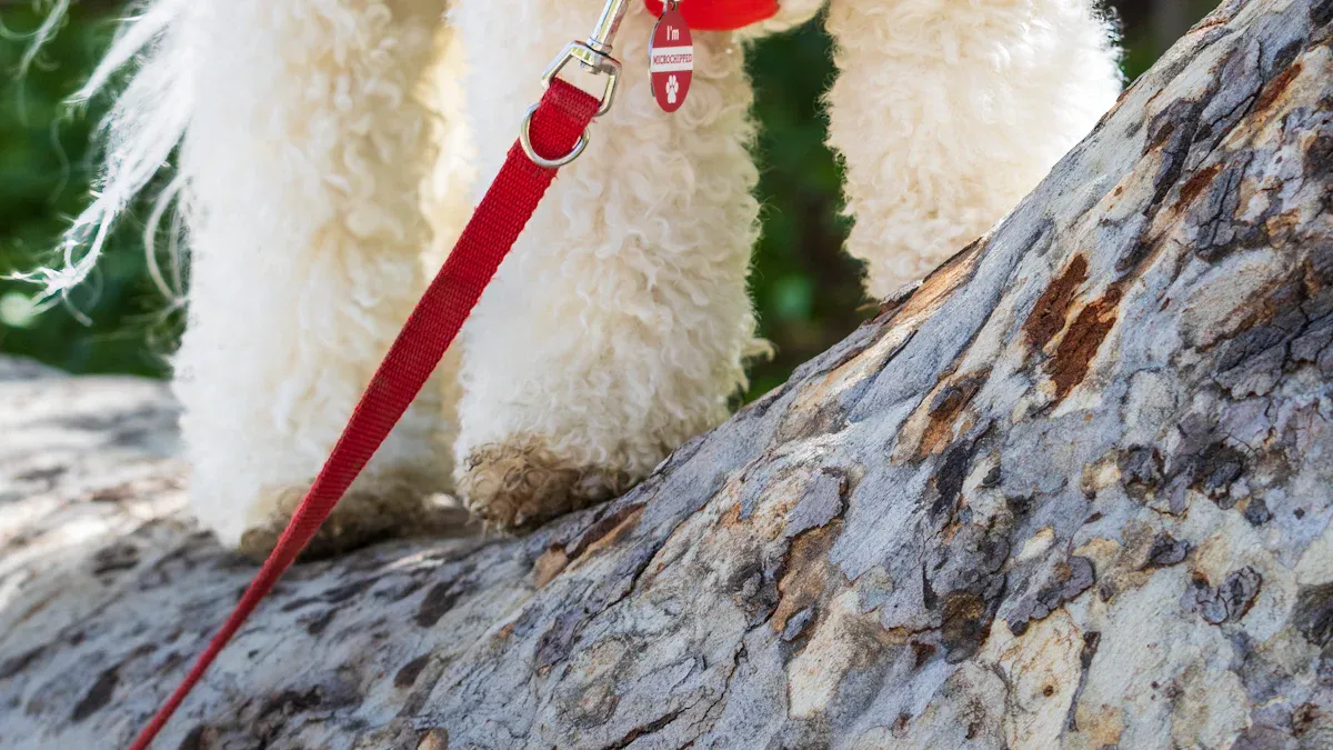 dog harness for dogs Fit Points