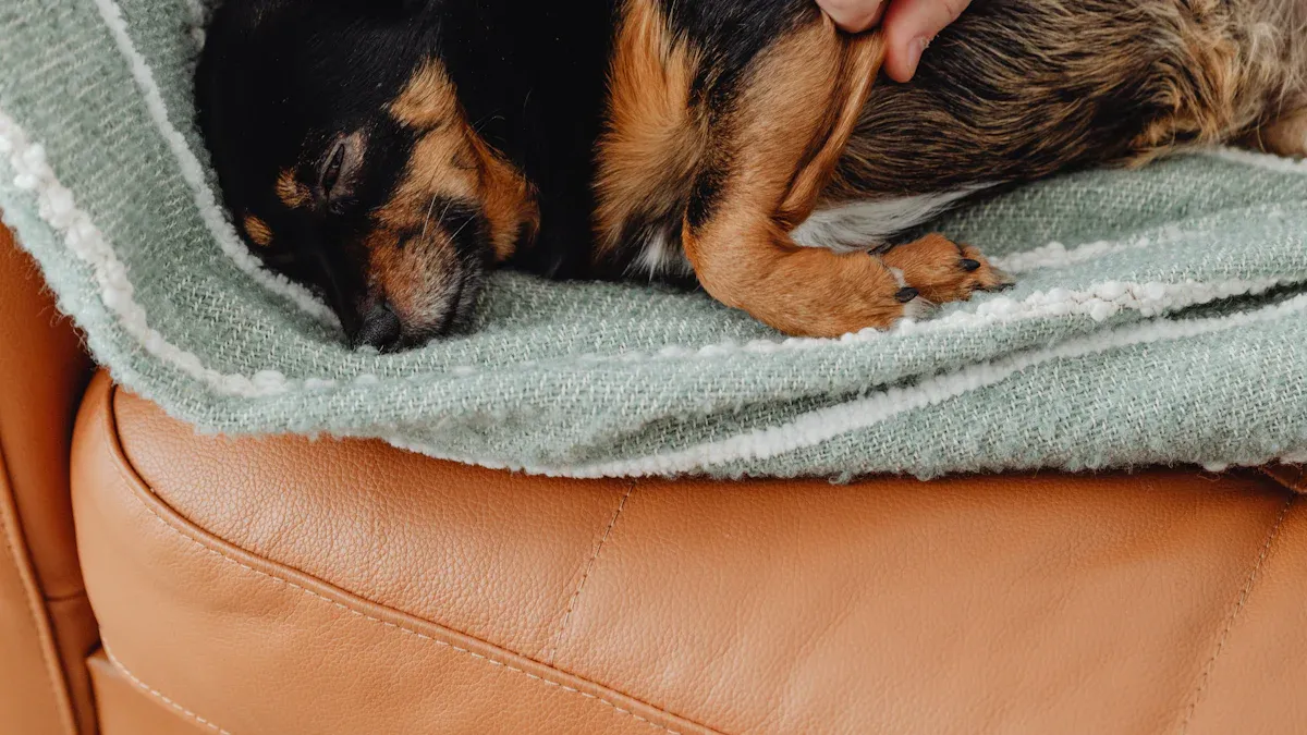 Pressure Hotspots in Harness for Small Dogs