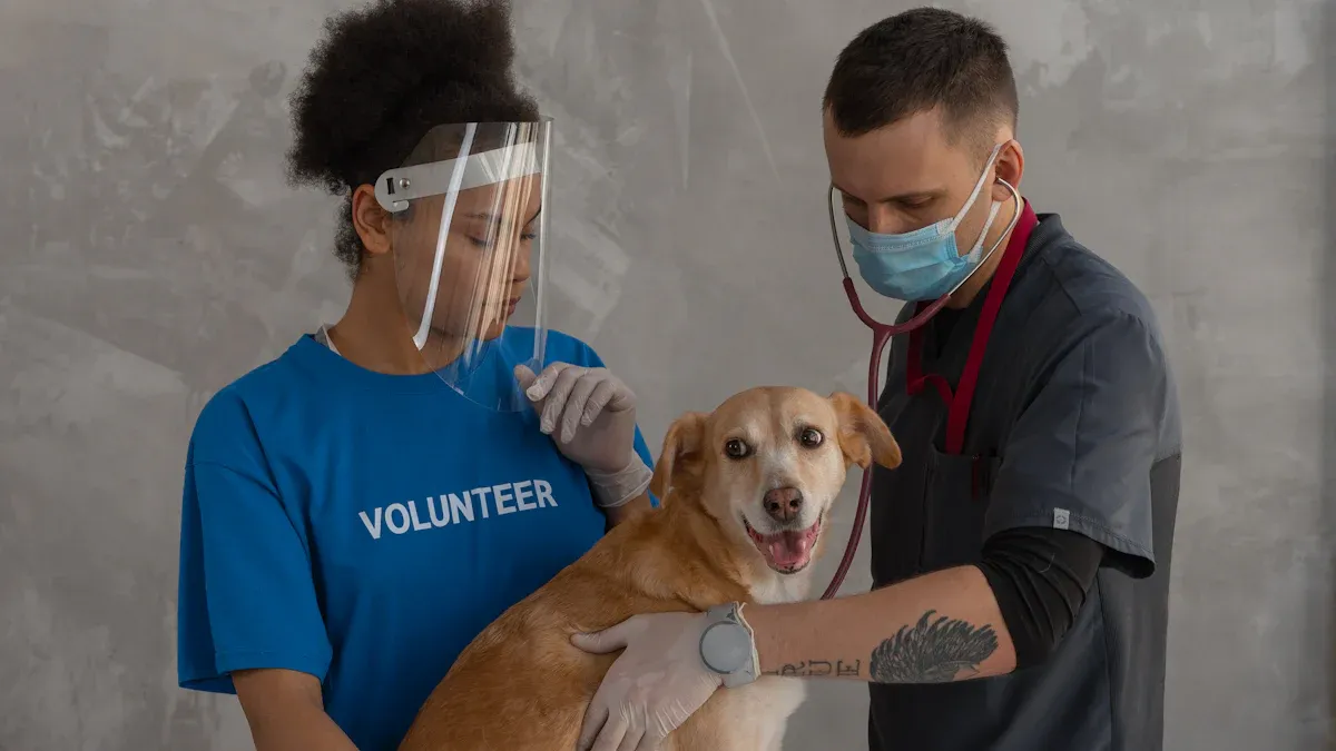 Fit checks for comfort and safety