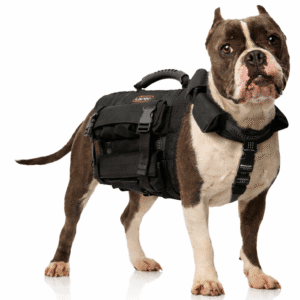 Stridepaw modular weighted dog vest with detachable collar, padded handle, and adjustable straps, shown on a bully breed.