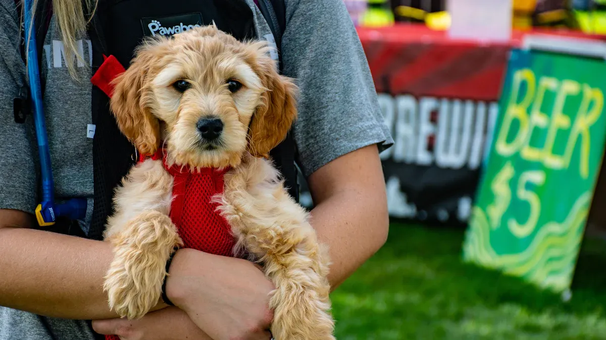 Comfort and Handling for Airline-Approved Pet Carriers