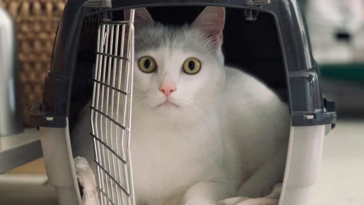 Fit Checks for Pet Carrier for Plane Travel