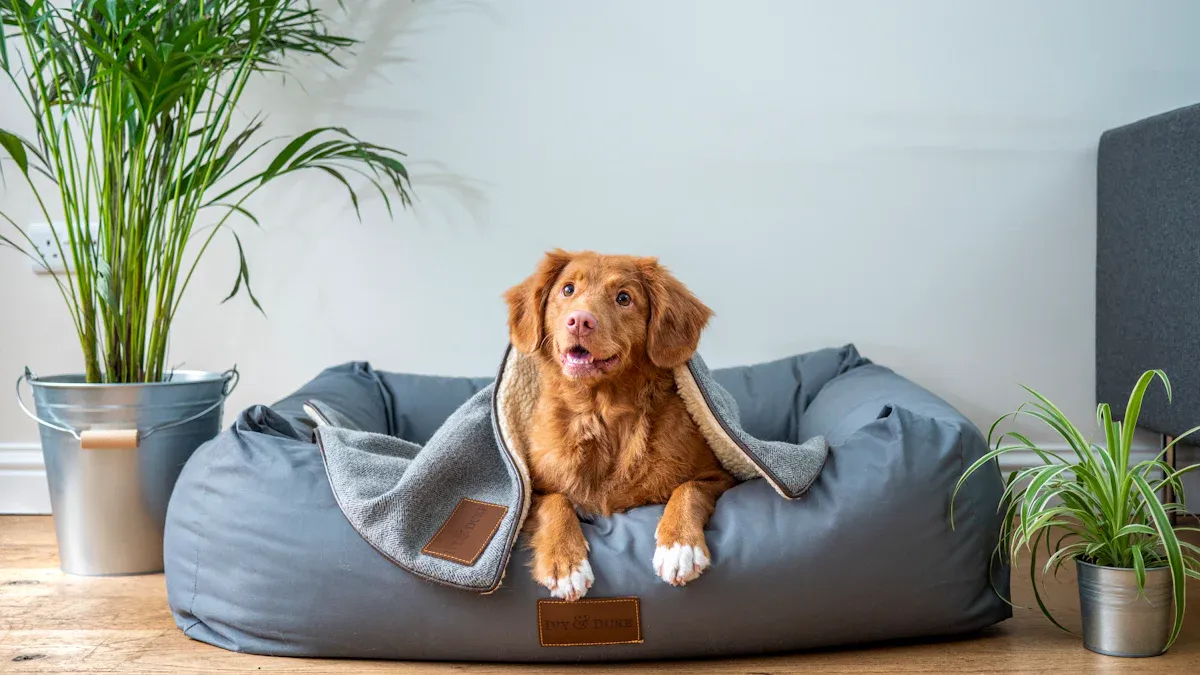 Fit and Sizing Checks for Pet Tents