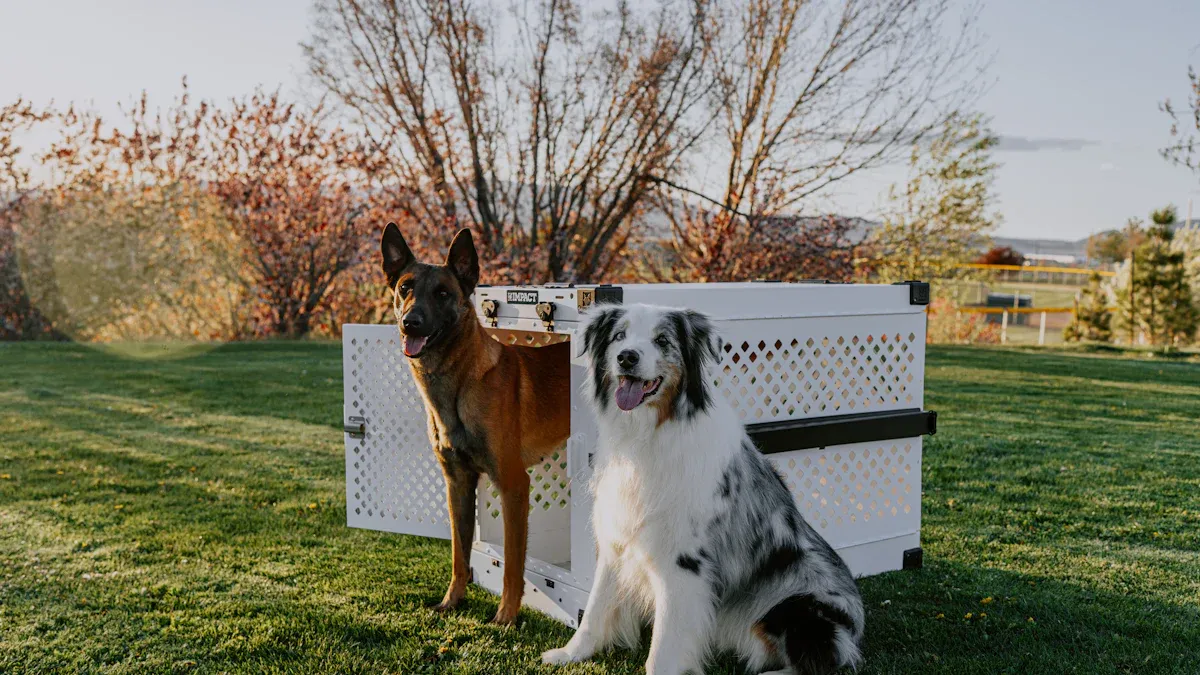 Carrier Types & Key Features for Airline-Approved Cat Carriers