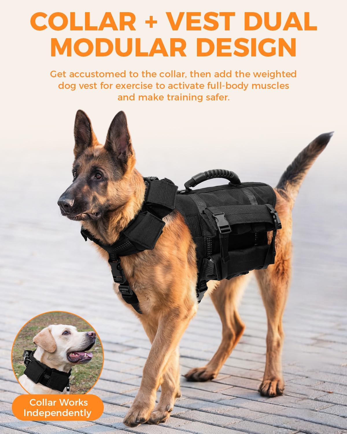 Collar + Vest Dual Modular Design” graphic showing a German shepherd wearing the Stridepaw weighted vest; inset shows collar works independently.