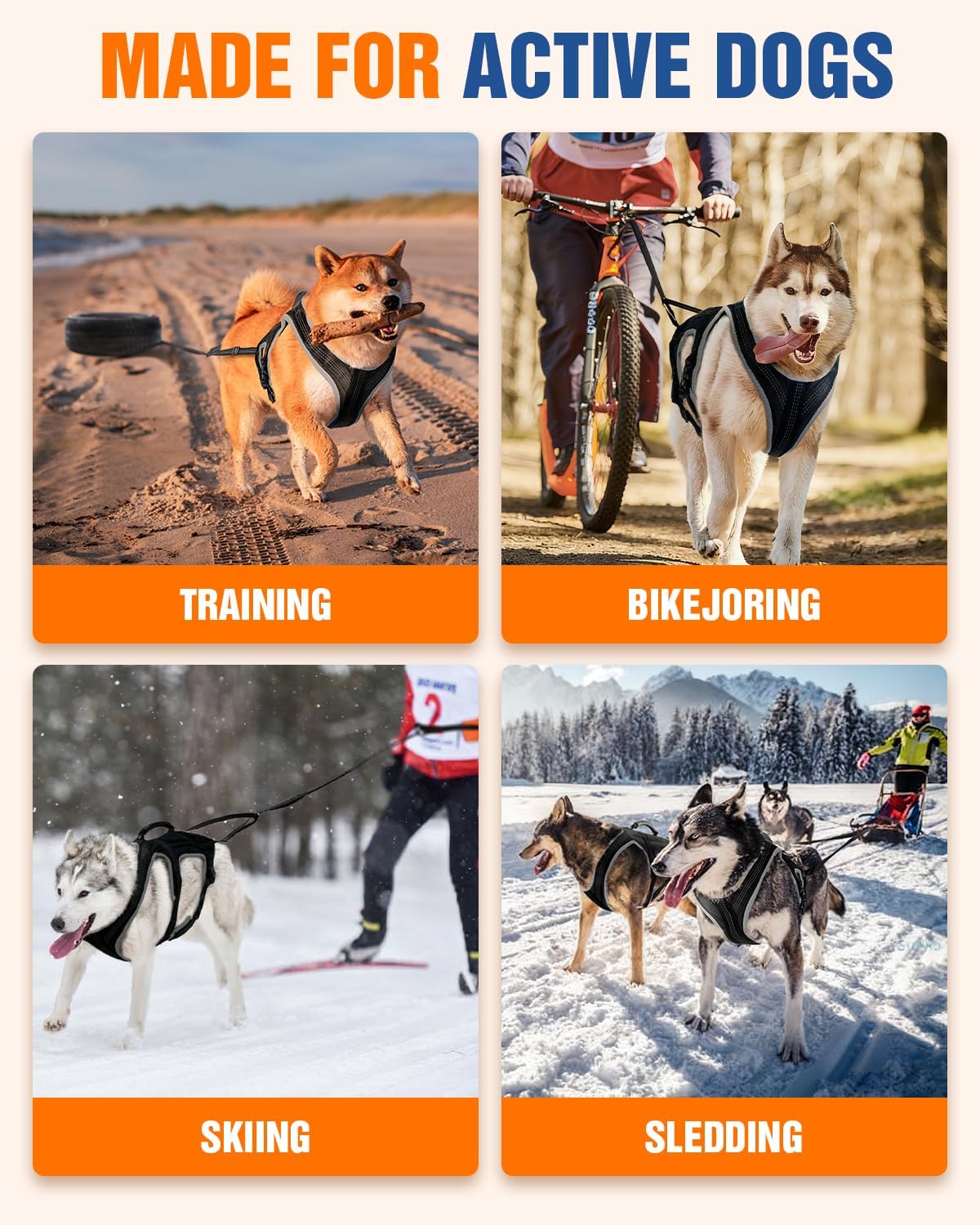 Stridepaw performance dog harness shown for training, bikejoring, skiing, and sledding in four activity photos