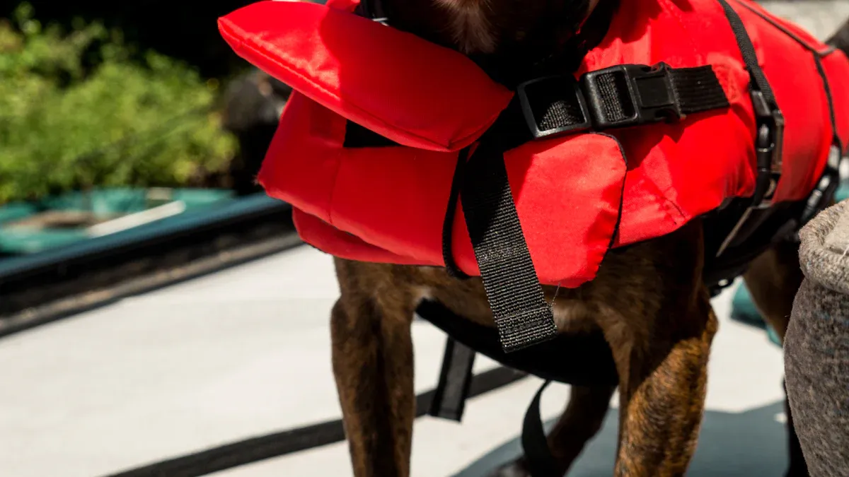 Sizing and Fit for Life Jackets for Pets