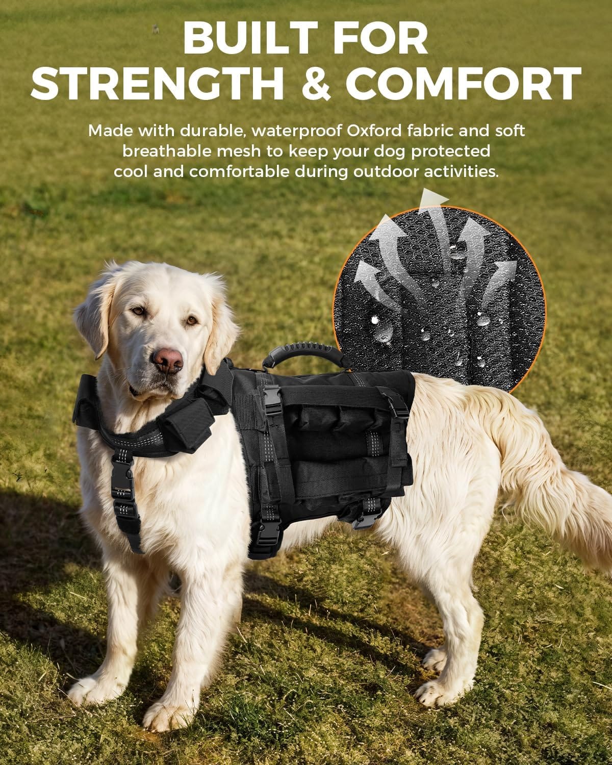 Built for Strength & Comfort” graphic showing a golden retriever wearing a Stridepaw weighted vest, highlighting waterproof Oxford fabric and breathable mesh.