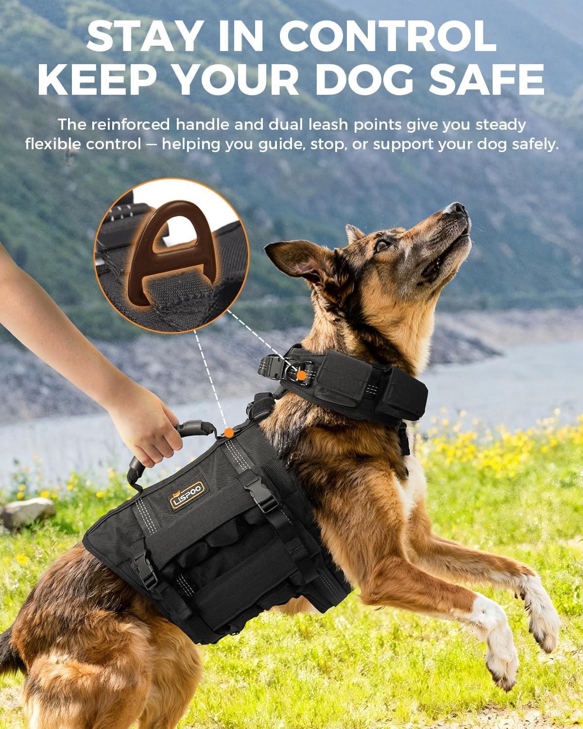 Stay in Control, Keep Your Dog Safe” graphic showing a dog in a Stridepaw weighted vest with reinforced handle and dual leash attachment points.