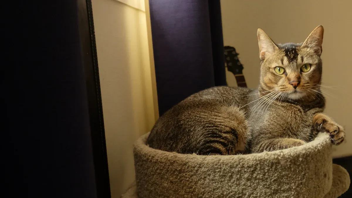 Elevated cat bed types and features
