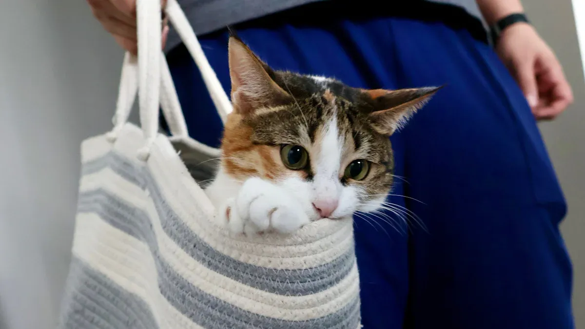 Under-Seat Fit, Sizing, and Cat Comfort Checks