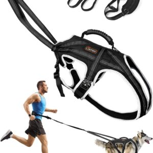 Stridepaw canicross dog harness set with bungee leash and waist belt for hands-free running and pulling sports