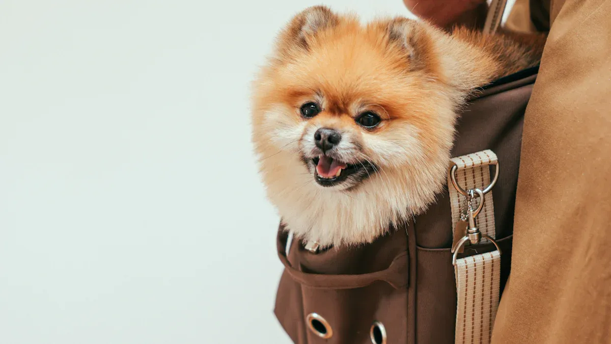 Get the best dog carrier size and fit for your flight