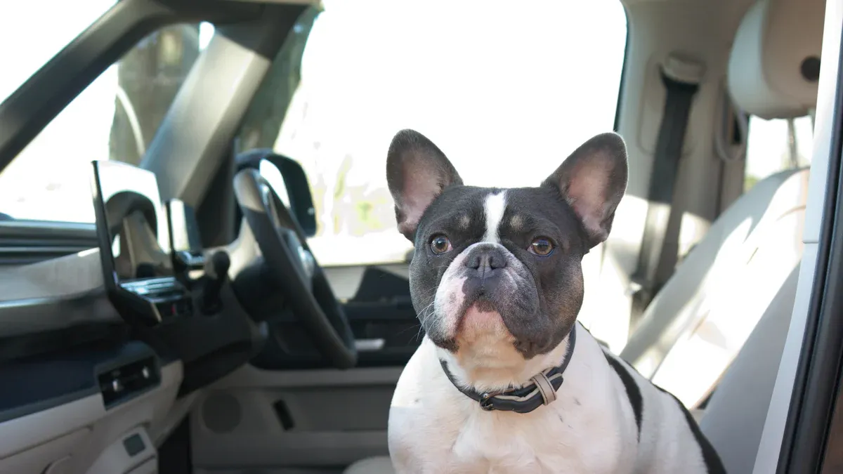 Choosing Dog Car Seat Safety Restraints