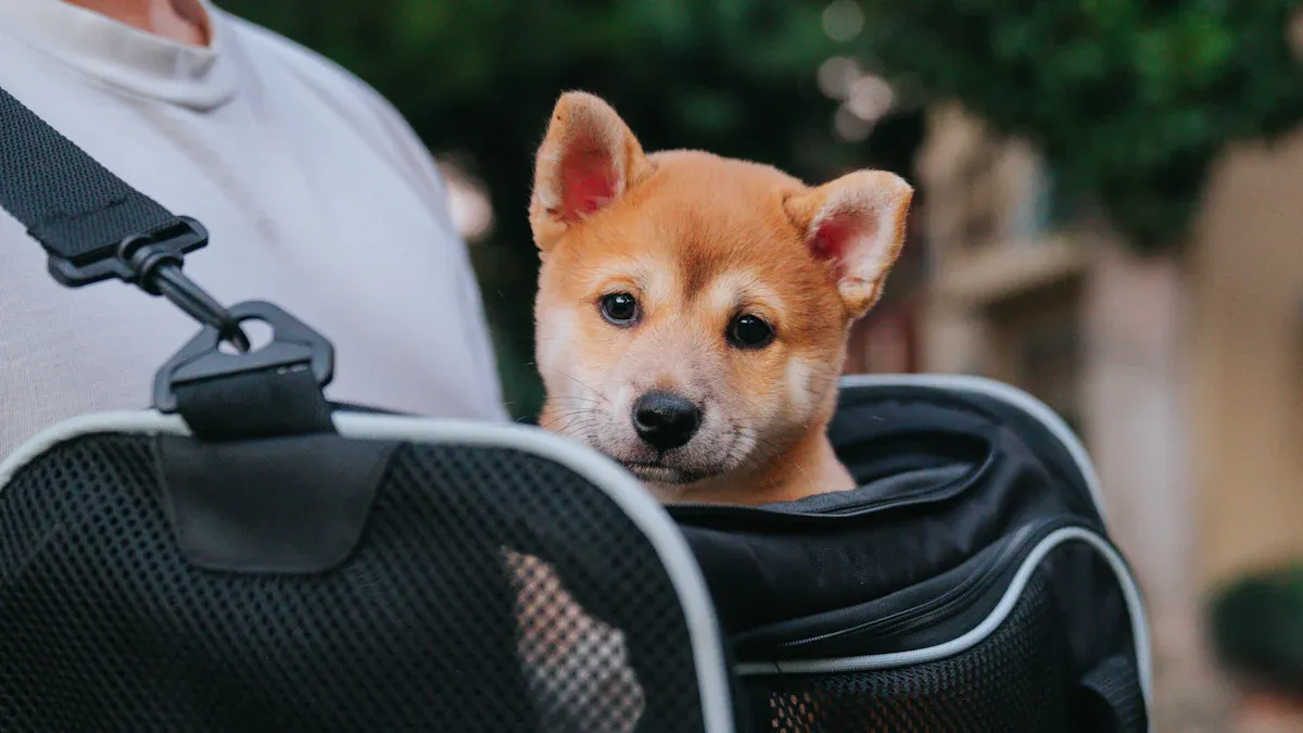 Sizing and fit checks for pet sling carriers